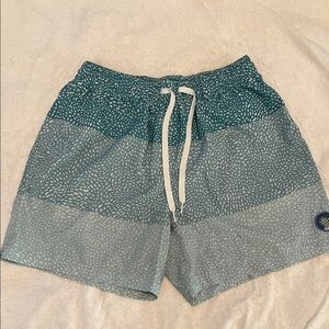Chubbies Teal Patterned Swim Trunks